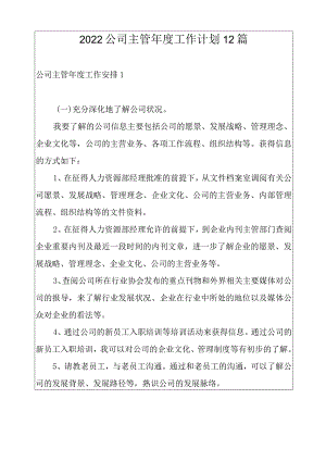 2022公司主管年度工作计划12篇.docx