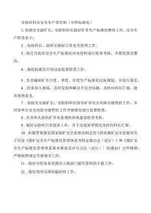 安检科科员安全生产责任制（分管标准化）.docx