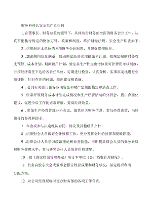 财务科科长安全生产责任制.docx