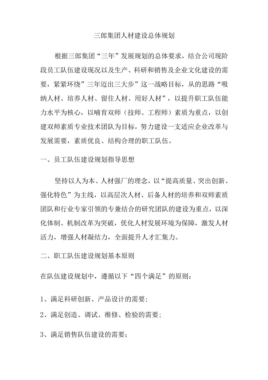 人才建设规划.docx_第1页