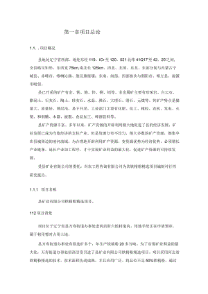 铁精粉精选项目可行性研究报告.docx