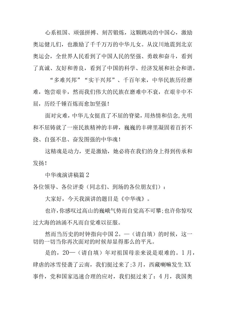 2023年整理-中华魂演讲稿范文集锦8篇2.docx_第3页