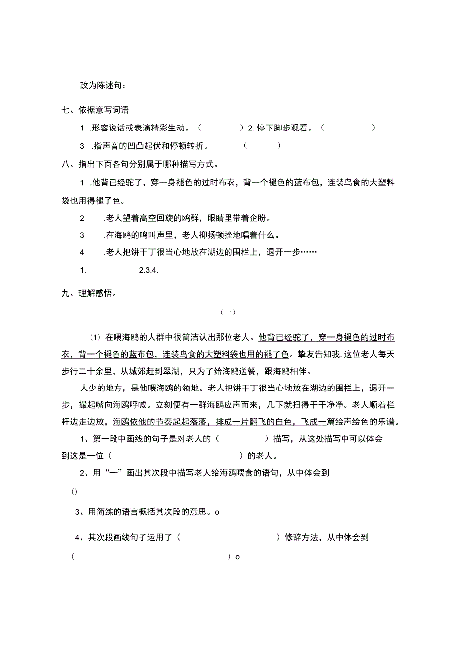 21、老人与海鸥练习题.docx_第2页