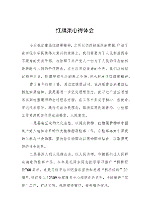 红旗渠参观见学心得体会十篇.docx