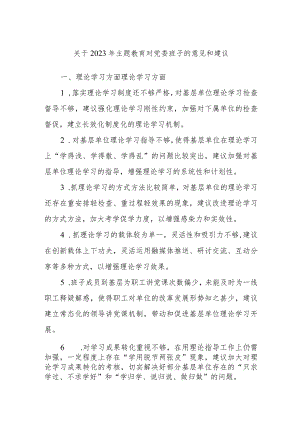 关于2023年主题教育对党委班子的意见和建议.docx