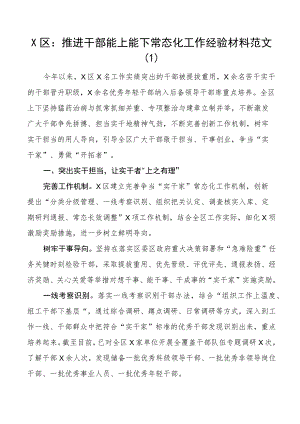 推进干部能上能下工作经验材料总结汇报报告10篇.docx