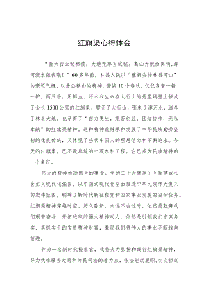 走进红旗渠汲取奋进力量教育活动心得体会八篇.docx