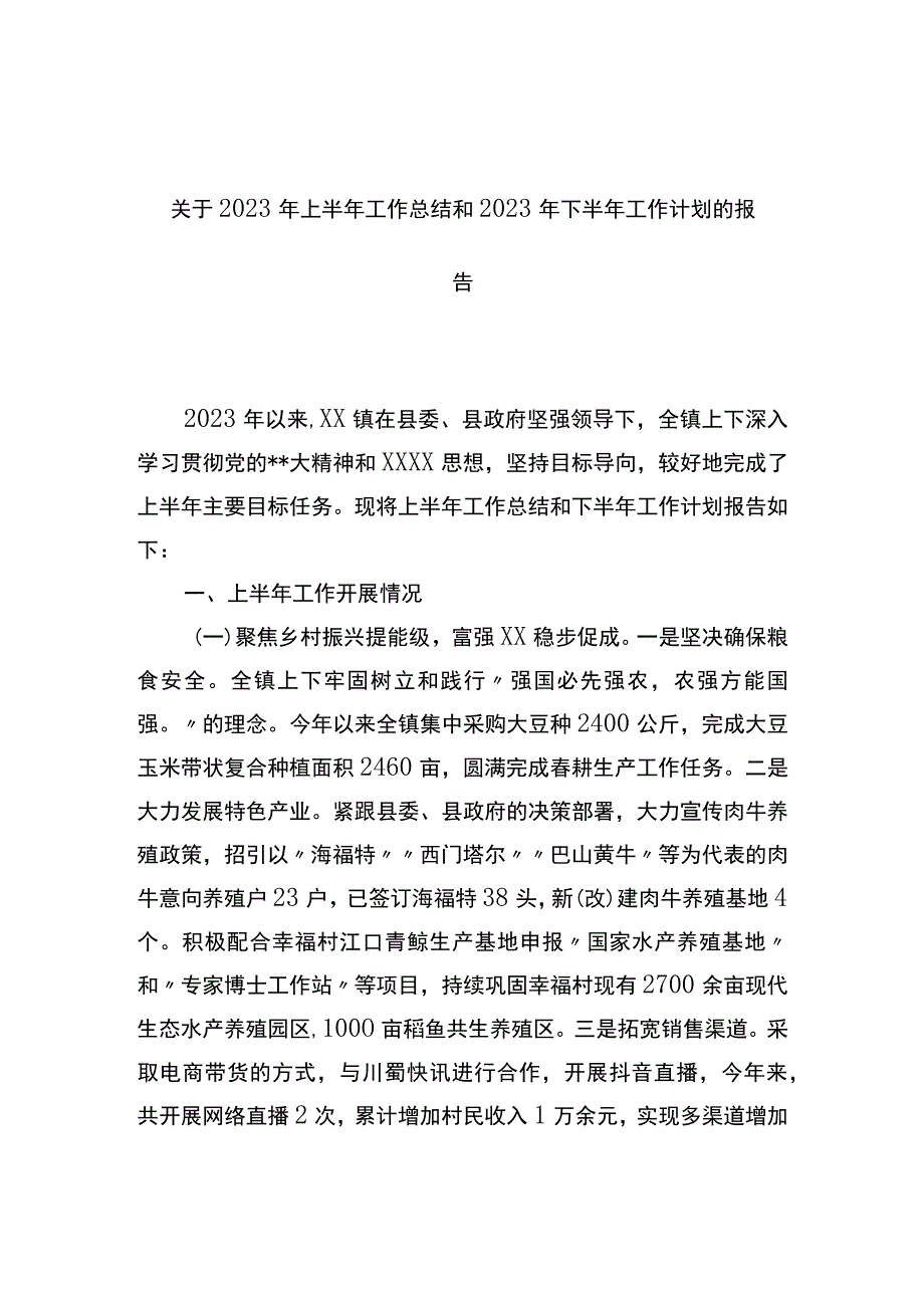 2023年上半年工作总结和2023年下半年工作计划的报告.docx_第1页