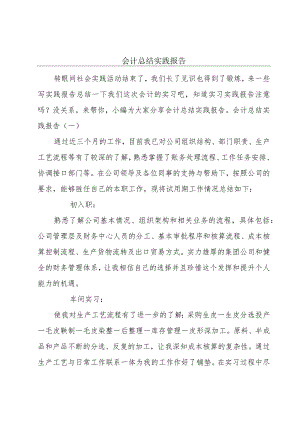 会计总结实践报告.docx