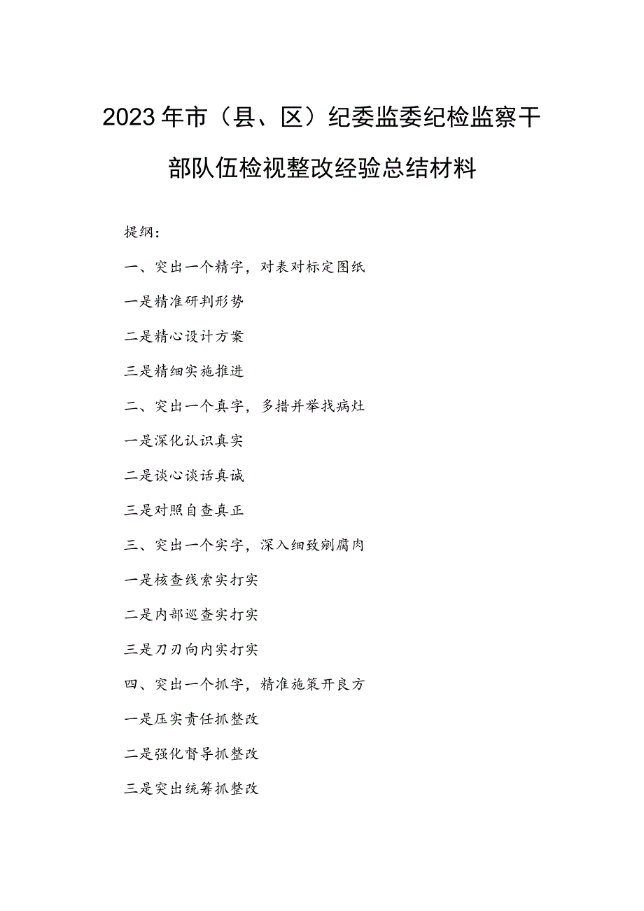 2023年市（县、区）纪委监委纪检监察干部队伍检视整改经验总结材料.docx_第1页