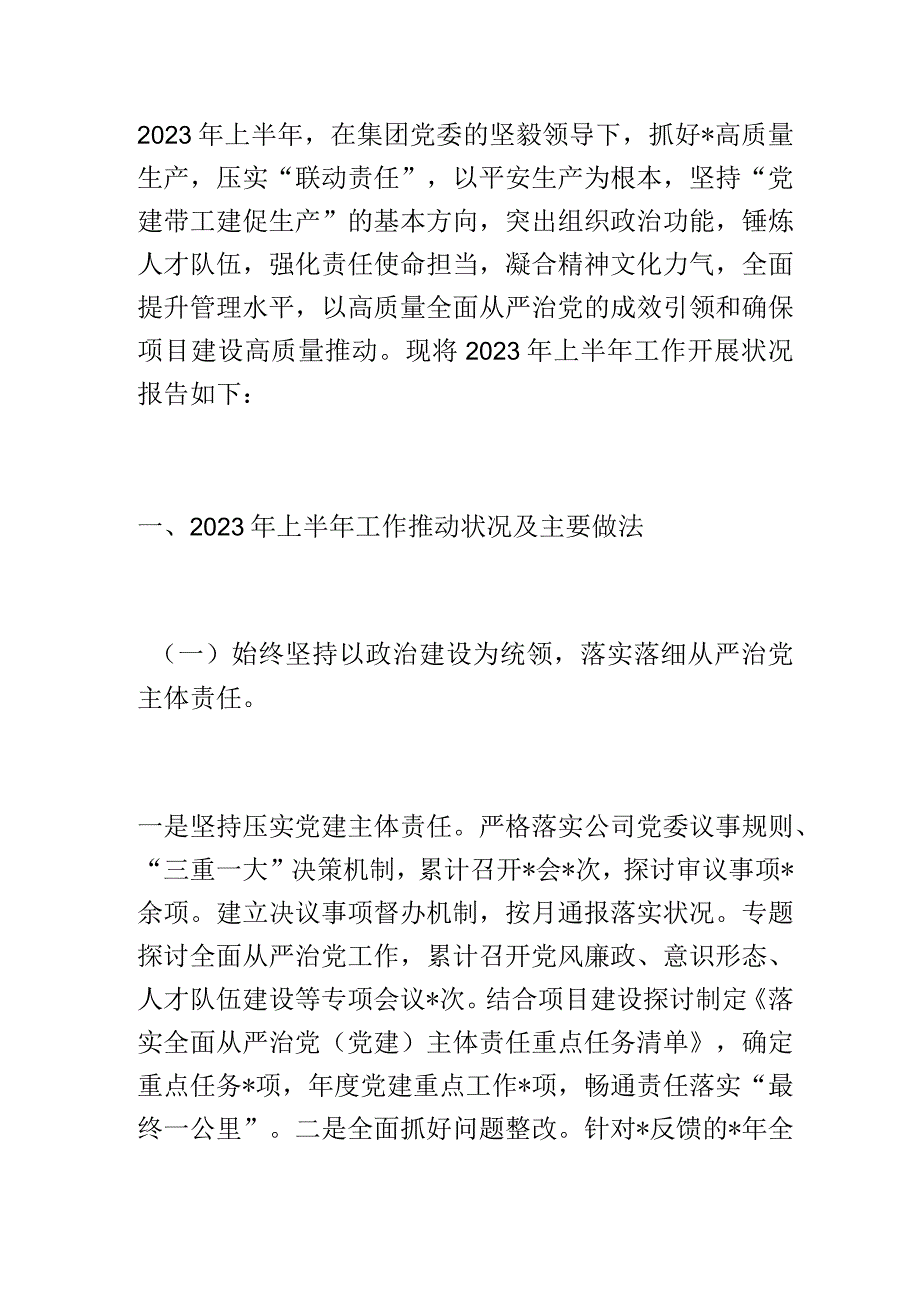 国企公司党委书记2023年上半年履行全面从严治党主体责任工作情况总结报告和下半年工作思路.docx_第1页