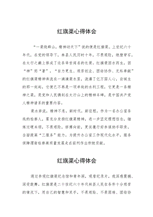 学习红旗渠精神心得体会五篇.docx