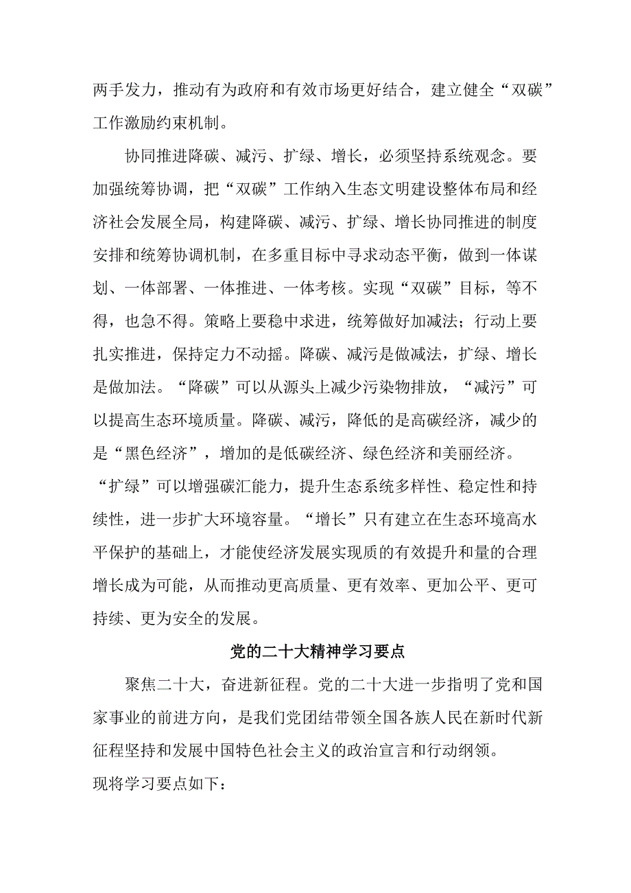 新能源单位开展专题学习《党的二十大精神》学习要点.docx_第3页