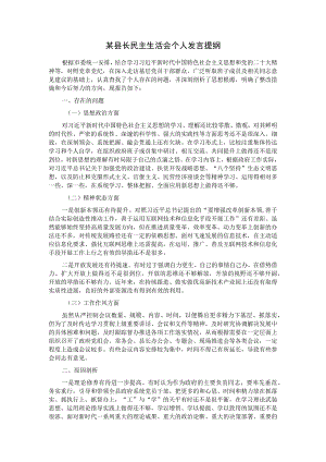 某县长民主生活会个人发言提纲.docx