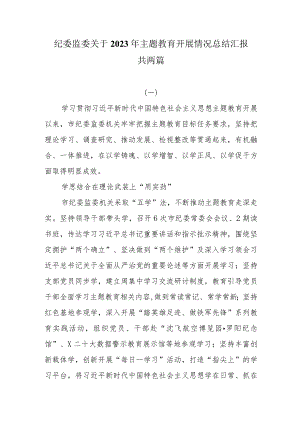 纪委监委关于2023年主题教育开展情况总结汇报两篇.docx