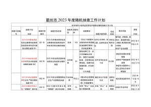 霸州市2023年度随机抽查工作计划.docx