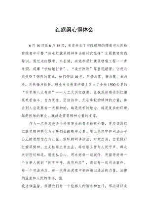 红旗渠心得体会七篇.docx