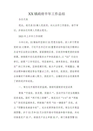 XX镇政府半年工作总结.docx