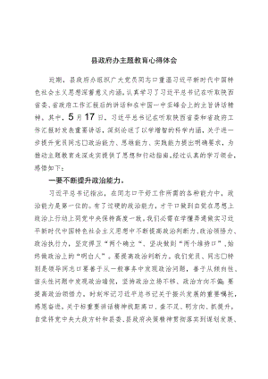 县政府办主题教育心得体会.docx