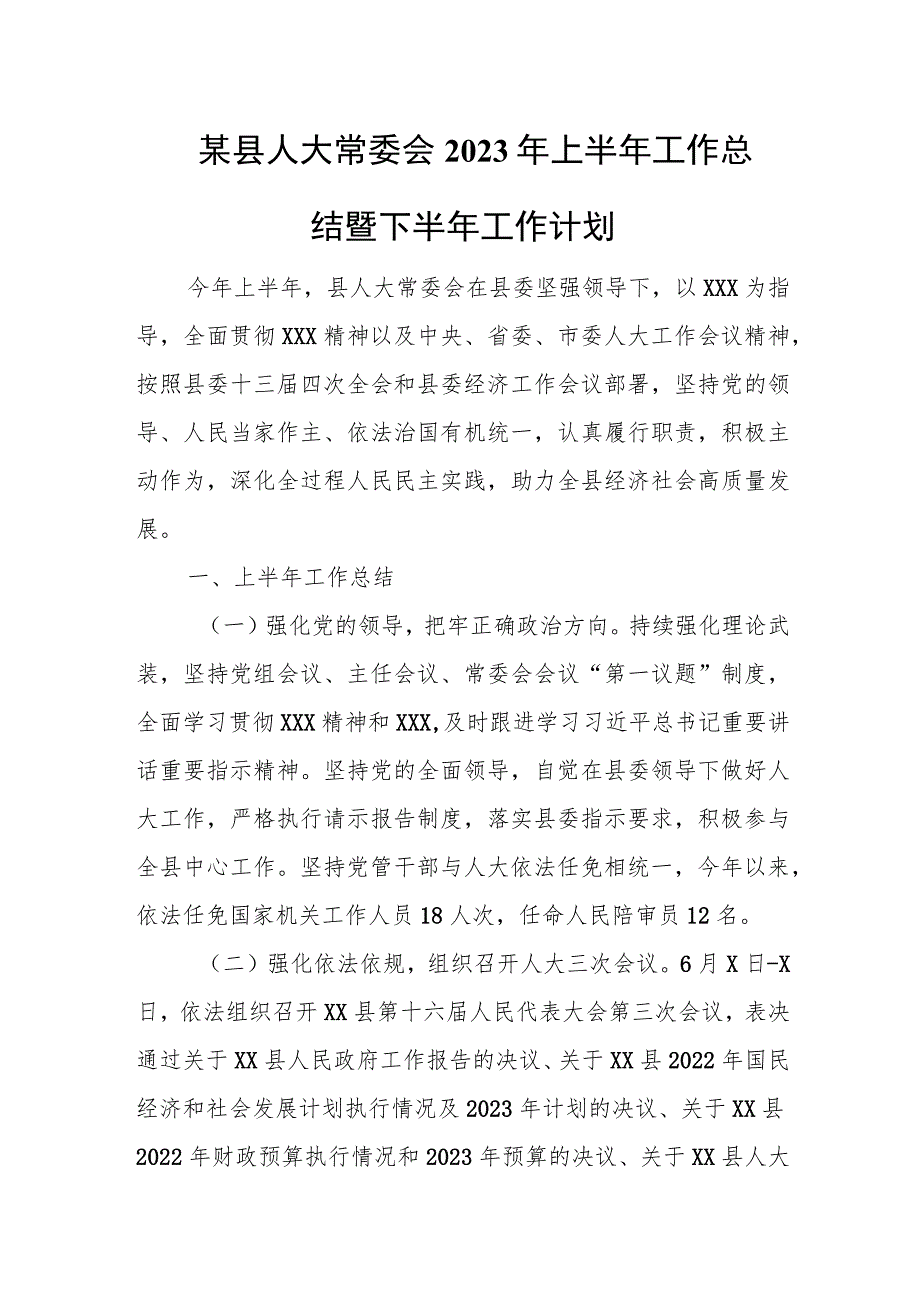 某县人大常委会2023年上半年工作总结暨下半年工作计划.docx_第1页