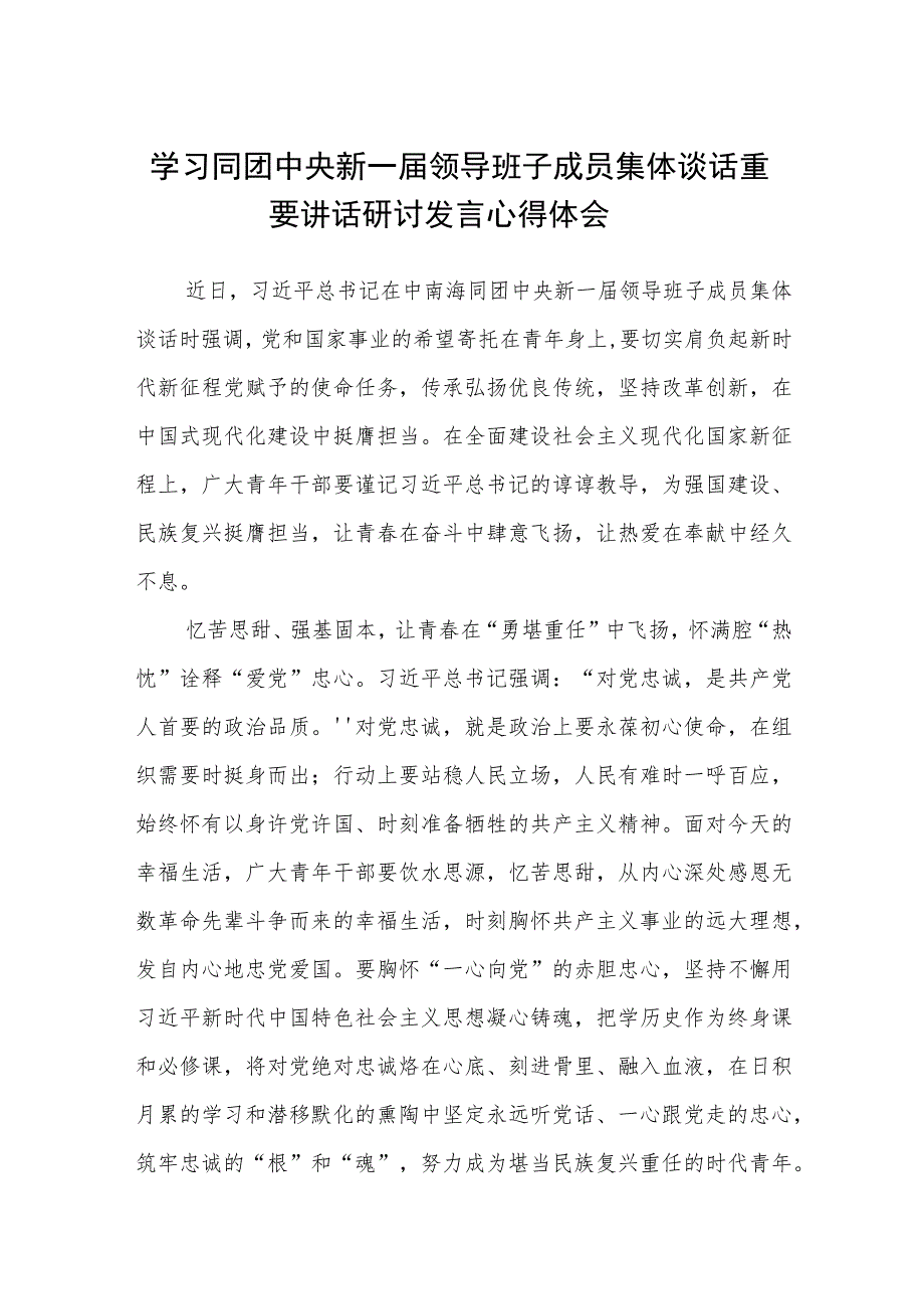 （8篇）2023学习同团中央新一届领导班子成员集体谈话重要讲话研讨发言心得体会.docx_第1页