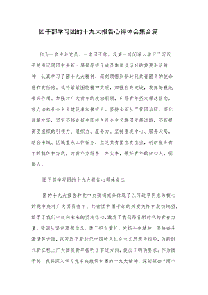 团干部学习团的十九大报告心得体会集合篇.docx