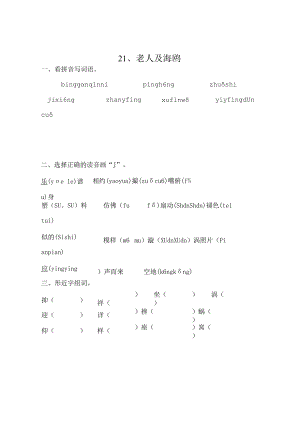 21老人与海鸥练习题.docx