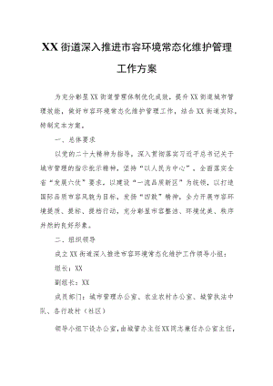 XX街道深入推进市容环境常态化维护管理工作方案.docx