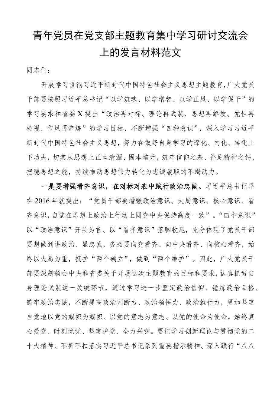 青年干部主题教育学习研讨发言材料心得体会.docx_第1页