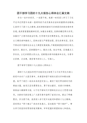 团干部学习团的十九大报告心得体会汇篇文稿.docx