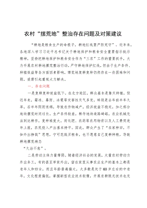 农村“撂荒地”整治存在问题及对策建议.docx