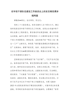 在年轻干部队伍建设工作座谈会上的发言稿党课讲稿两篇.docx