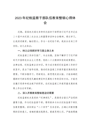 2023年纪检监察干部队伍教育整顿活动的心得体会两篇范文.docx