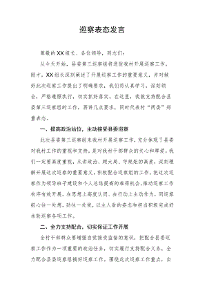 巡察表态发言.docx