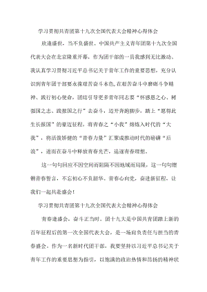 中小学教师学习贯彻共青团第十九次全国代表大会精神个人心得体会 （7份）.docx