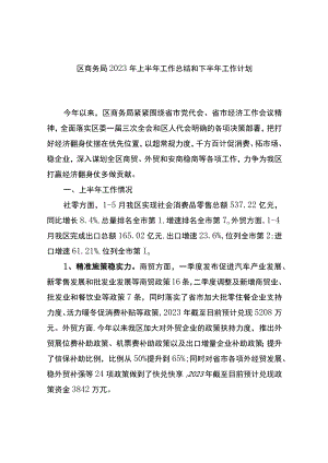 区商务局2023年上半年工作总结和下半年工作计划.docx