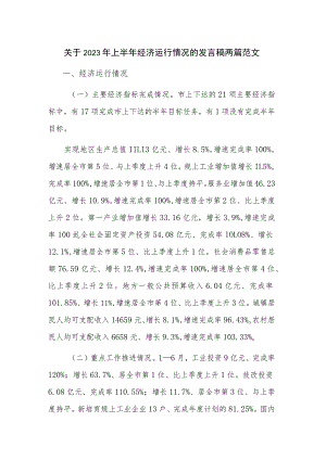 关于2023年上半年经济运行情况的发言稿两篇范文.docx