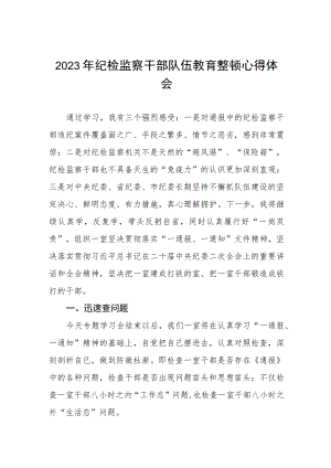 2023纪检监察干部队伍教育整顿的心得体会两篇样本.docx