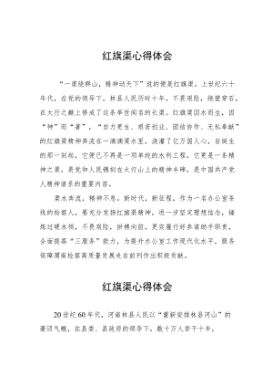 红旗渠参观见学心得体会七篇样本.docx