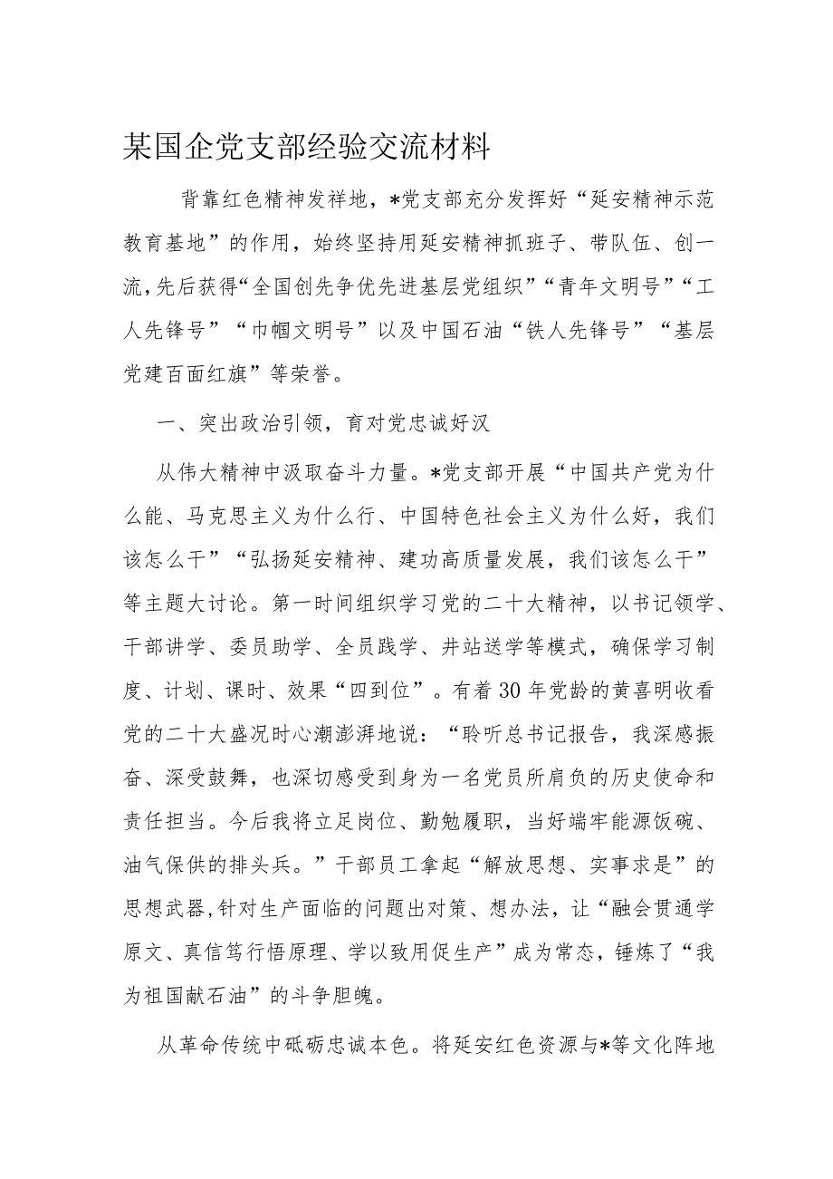 某国企党支部经验交流材料.docx_第1页