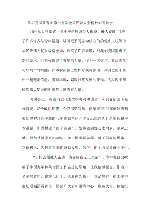 退伍军人学习贯彻共青团第十九次全国代表大会精神个人心得体会 （7份）.docx