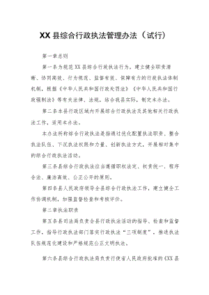 XX县综合行政执法管理办法.docx