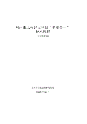 荆州市工程建设项目“多测合一”技术规程.docx