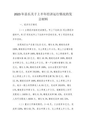 2023年县长关于上半年经济运行情况的发言材料.docx