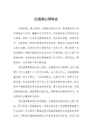 参观红旗渠心得体会八篇.docx