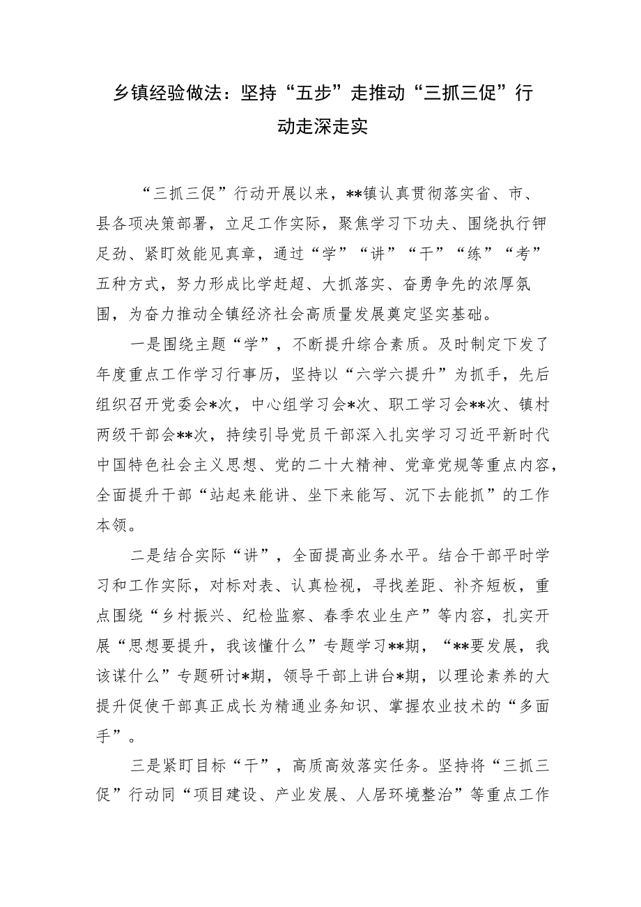 2023年乡镇村开展“三抓三促”行动活动经验做法交流材料11篇.docx_第2页