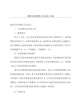 销售员试用期工作总结15篇.docx