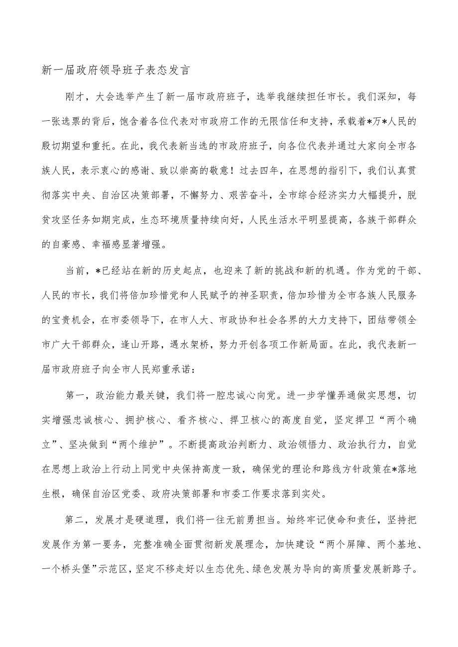 新一届政府领导班子表态发言.docx_第1页