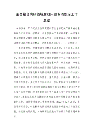 某县粮食购销领域腐败问题专项整治工作总结.docx