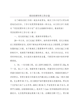 项目经理年终工作计划.docx